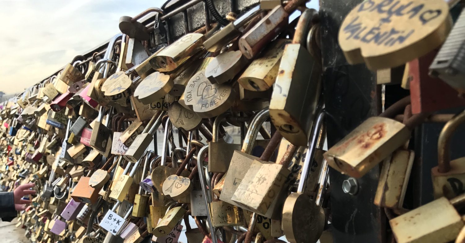 Random Musings of Life, Travel, and Brutus