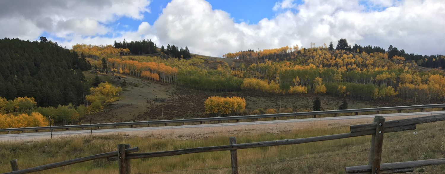 Random Musings of Life, Travel, and Brutus