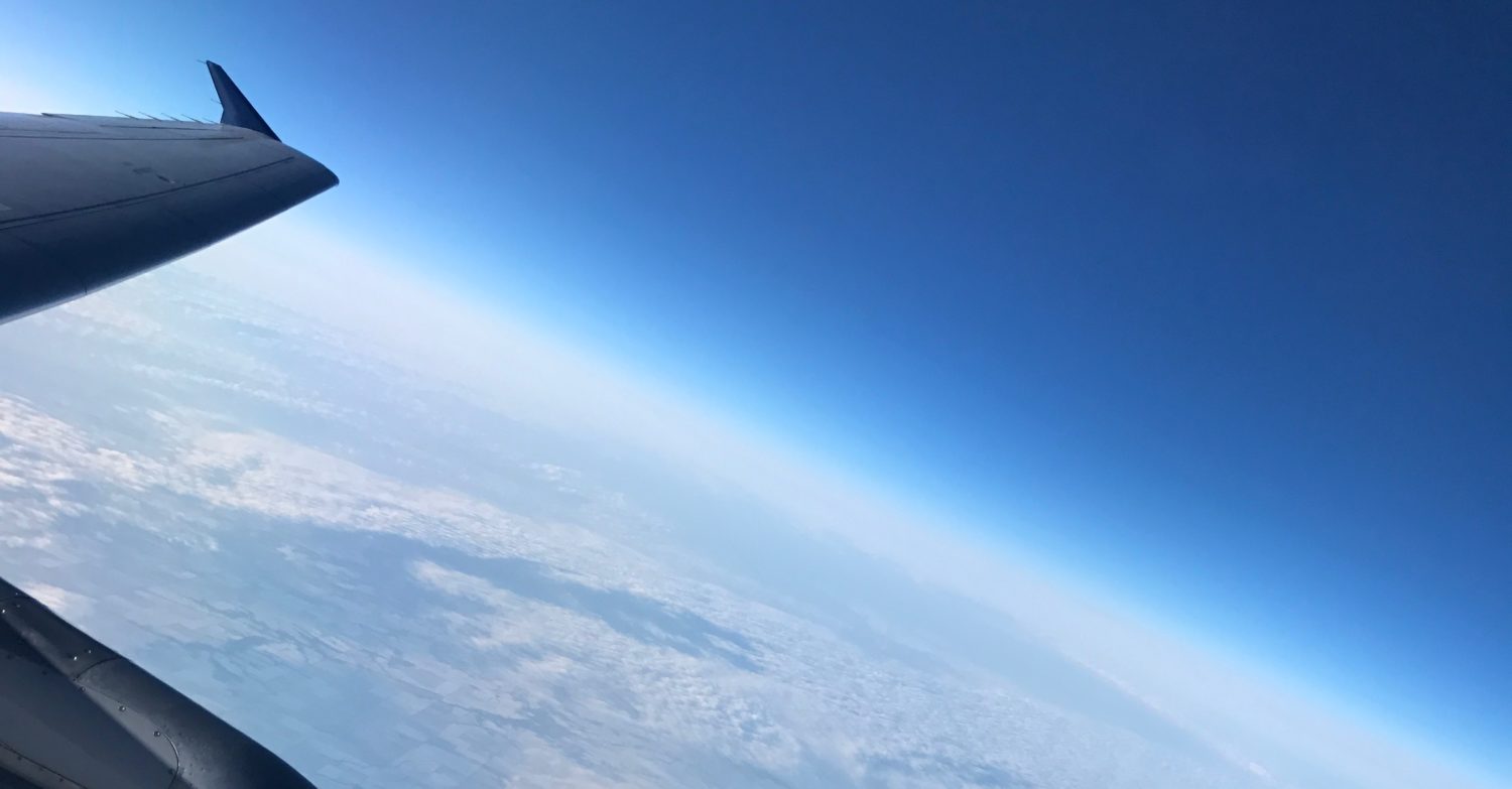 Random Musings of Life, Travel, and Brutus