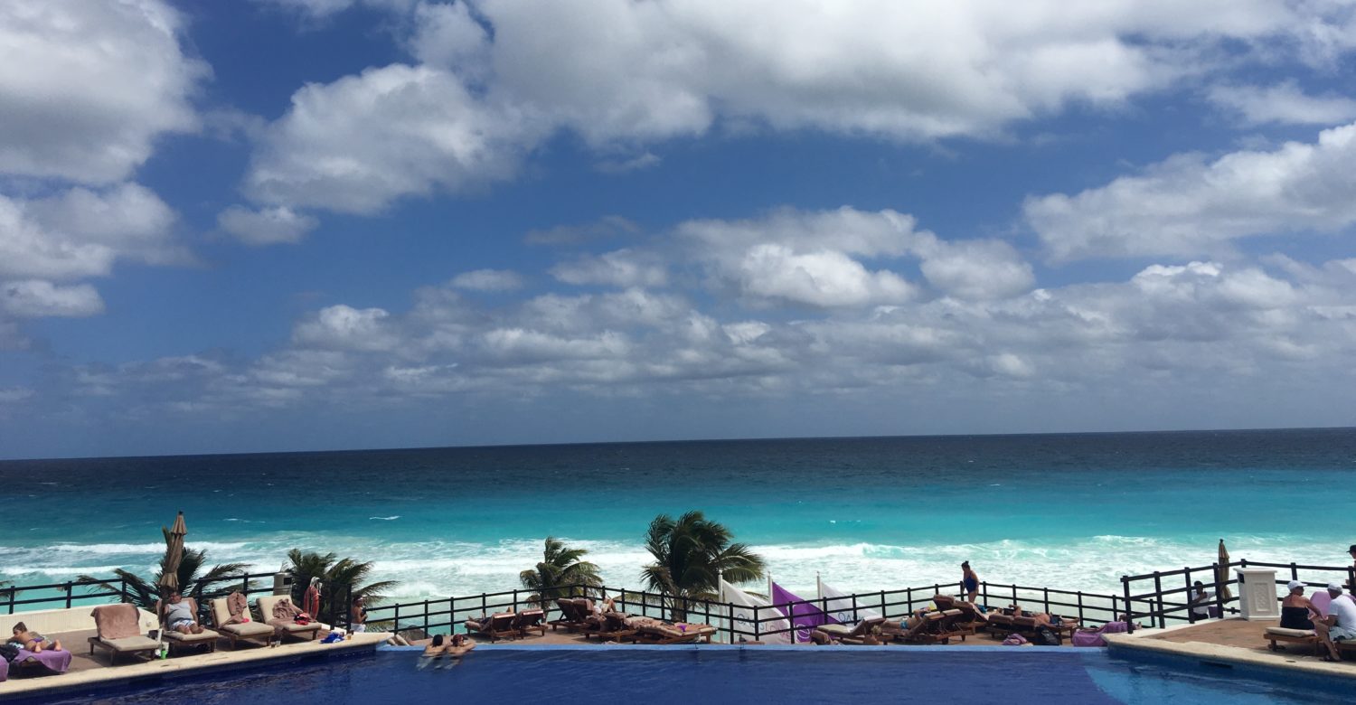 Random Musings of Life, Travel, and Brutus