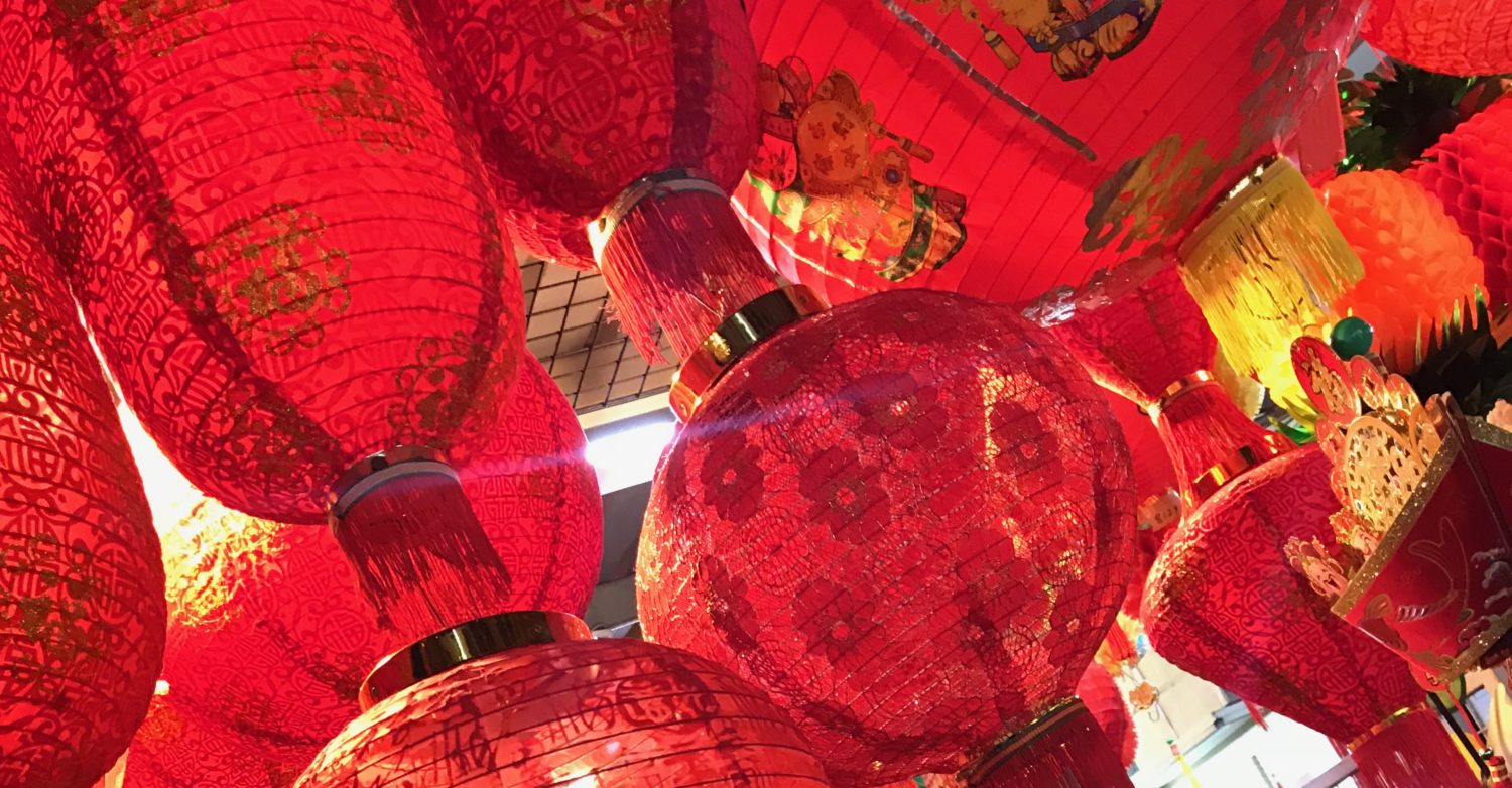 Random Musings of Life, Travel, and Brutus